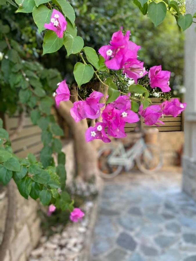 Romanos Apartments جايوس المظهر الخارجي الصورة